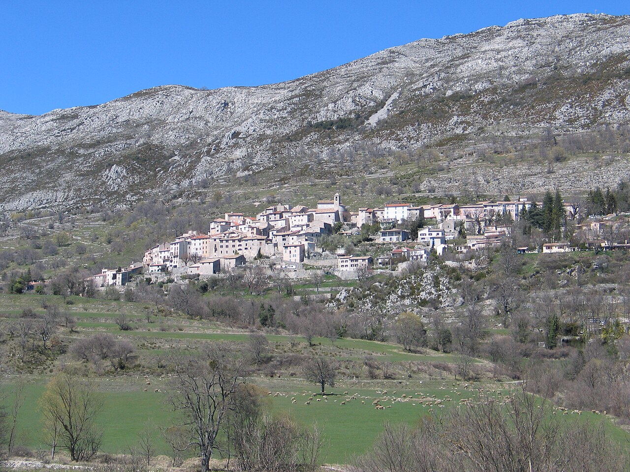 Coursegoules